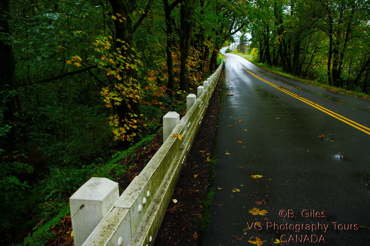 Pentax K-3 sample photo. Oregon fall photography