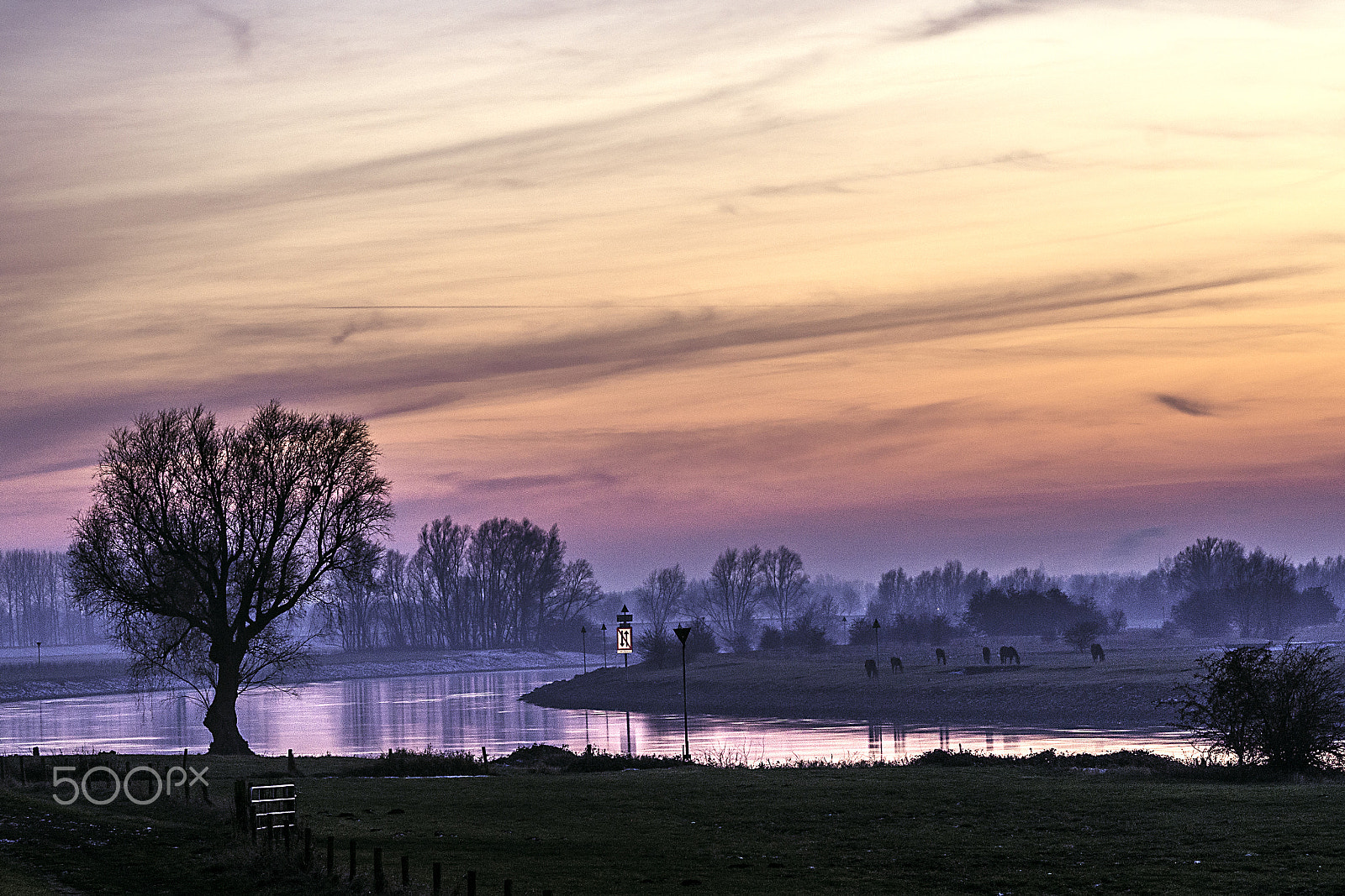 Olympus OM-D E-M10 sample photo. Sunset river ijssel photography