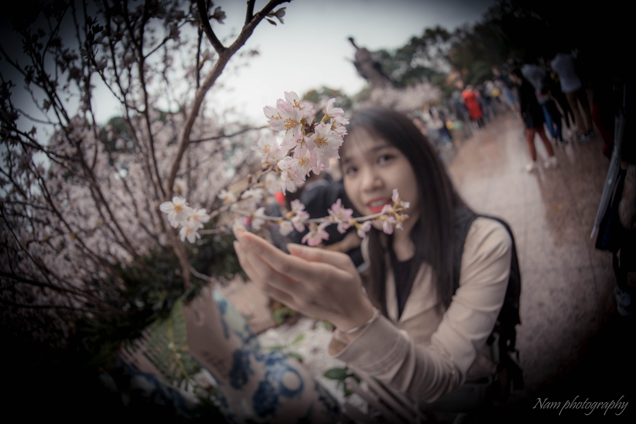 Samyang 12mm F2.8 ED AS NCS Fisheye sample photo. Dsc_1632-3.jpg photography