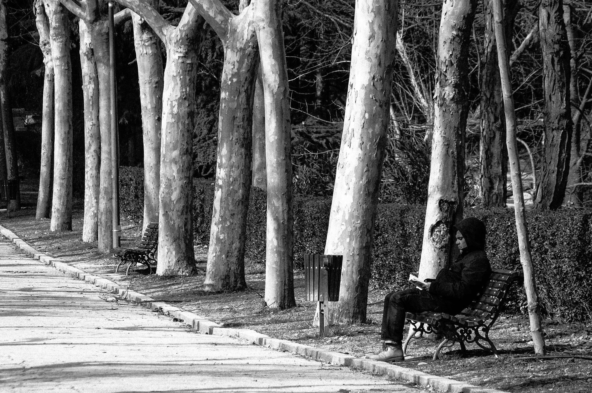 Nikon D3000 sample photo. Leyendo en el parque photography