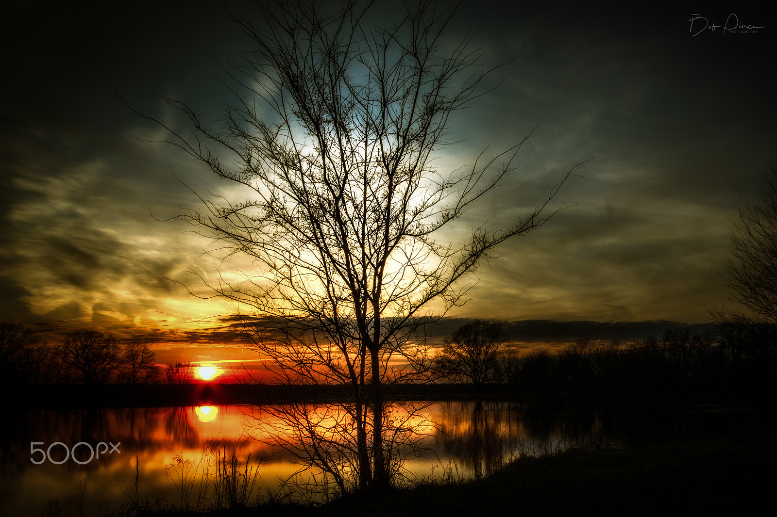 Canon EF-S 10-22mm F3.5-4.5 USM sample photo. Sf tree sunset photography
