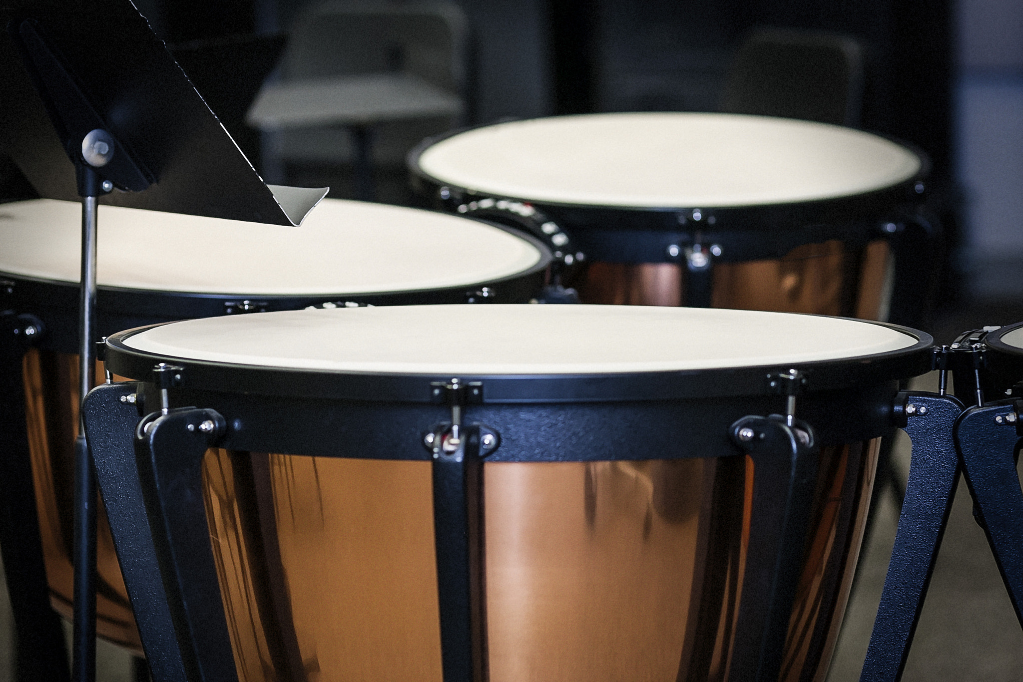 Canon EOS-1D Mark III + Canon EF 135mm F2L USM sample photo. Timpani photography
