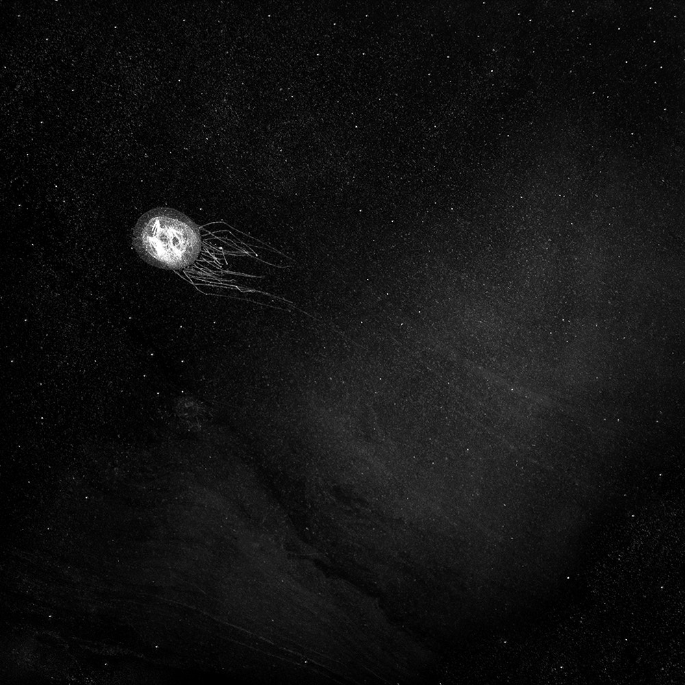 Canon EOS-1Ds Mark III sample photo. The cnidaria galaxy (obscure image 13 of 31) photography