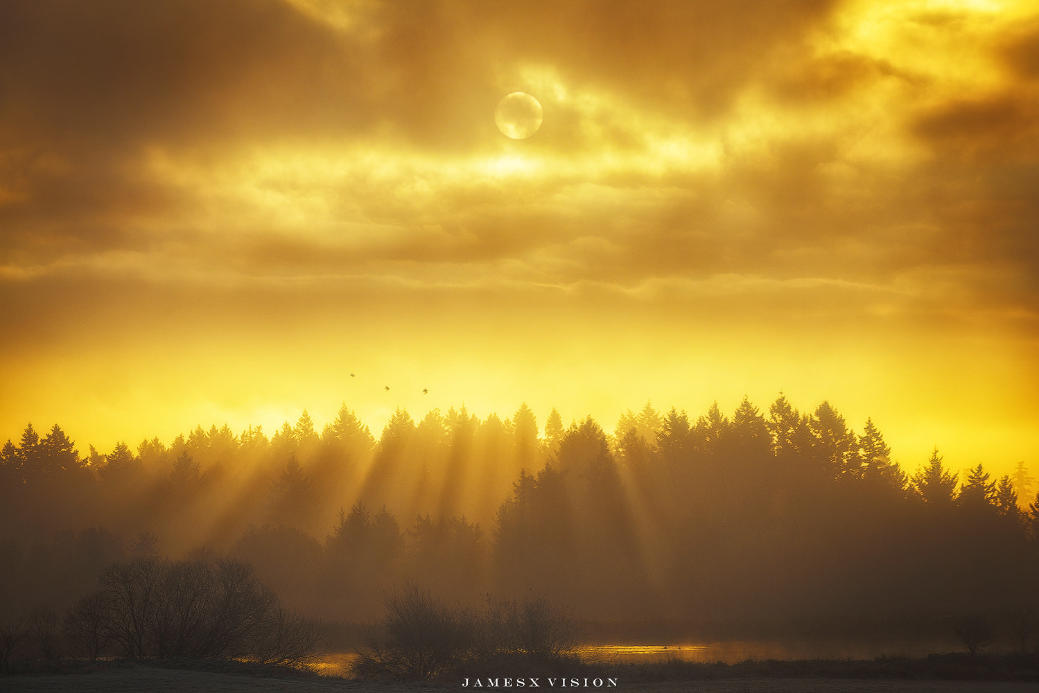 AF-S Zoom-Nikkor 80-200mm f/2.8D IF-ED sample photo. Good morning world photography