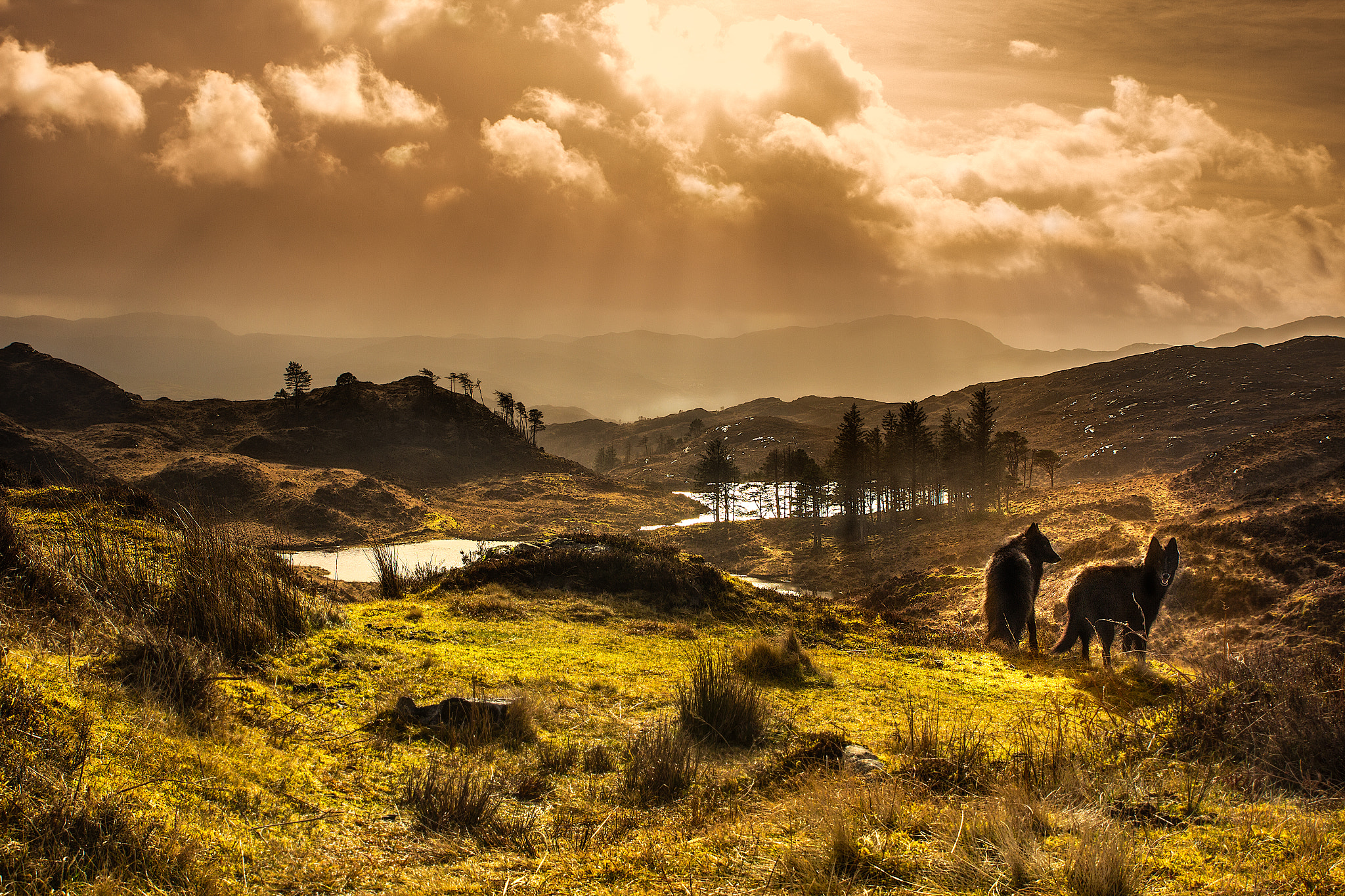 Sigma 24-70mm F2.8 EX DG Macro sample photo. Highland walk photography