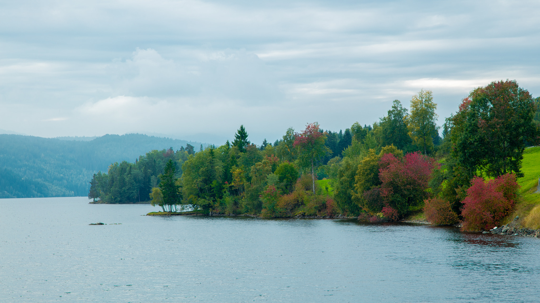 Canon EOS 5DS R + Canon EF 24-105mm F4L IS USM sample photo. Autumn study 3 photography