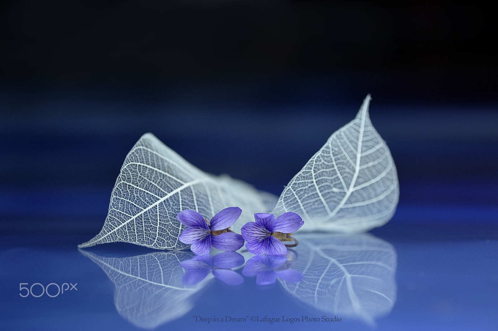 Nikon D700 sample photo. Deep in a dream photography