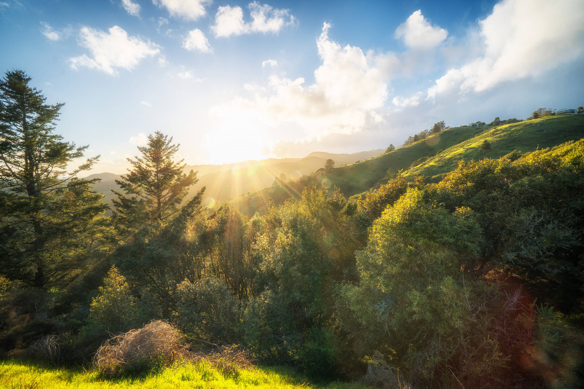 Sony a6300 + Sony E 10-18mm F4 OSS sample photo. Muir woods photography