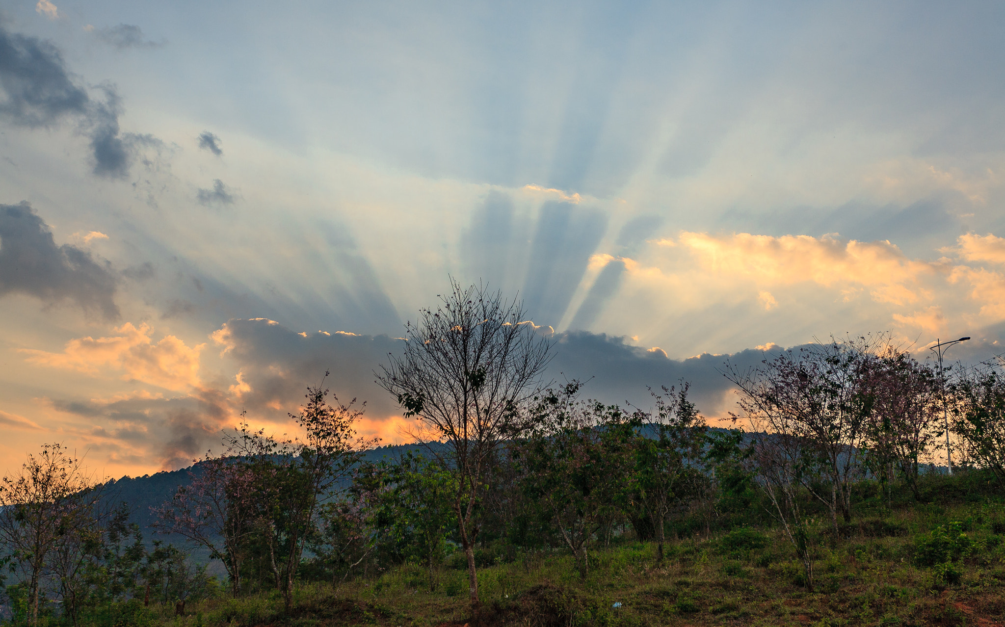 Canon EOS 5D + Canon EF 17-40mm F4L USM sample photo. Dawn at da lat vietnam photography