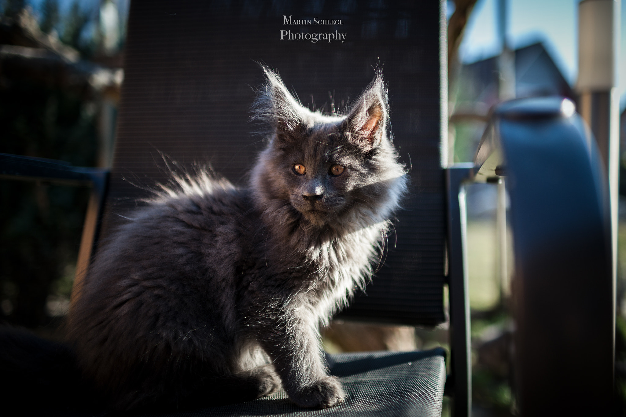 Sigma 30mm F1.4 EX DC HSM sample photo. Baby <3 photography