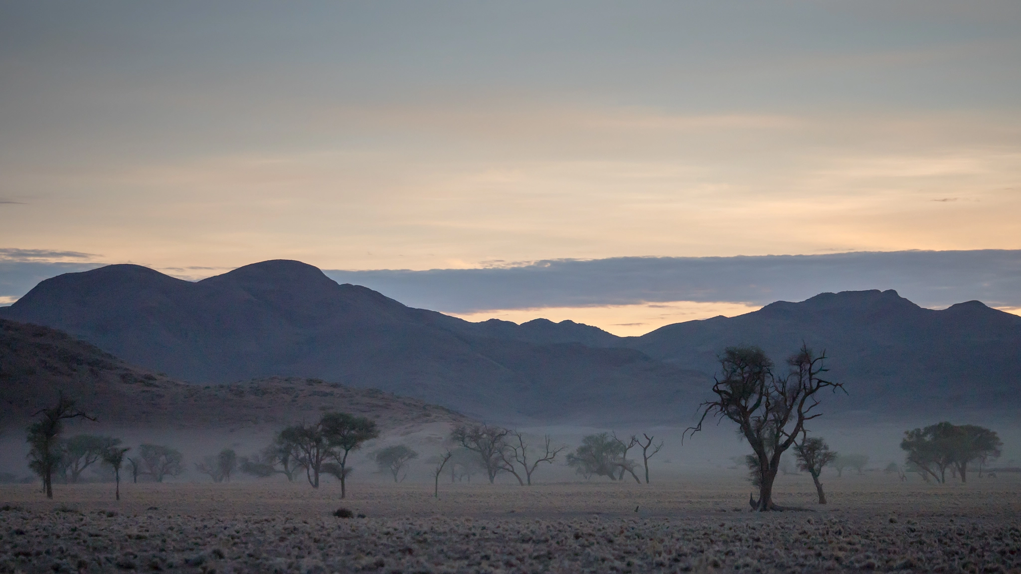 Panasonic Lumix G X Vario 35-100mm F2.8 OIS sample photo. Namibia sunrise photography