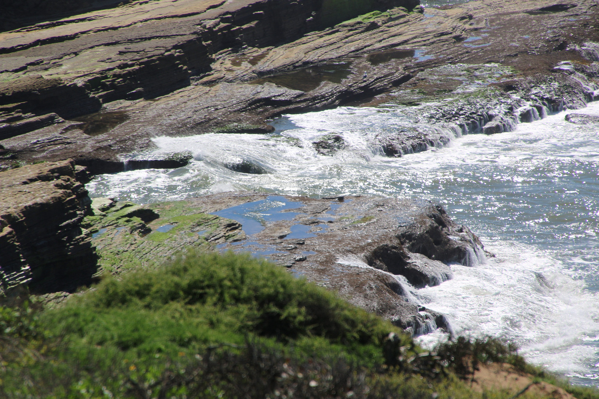 Canon EOS 70D sample photo. Part of san diego, ca coastline in pt. loma photography