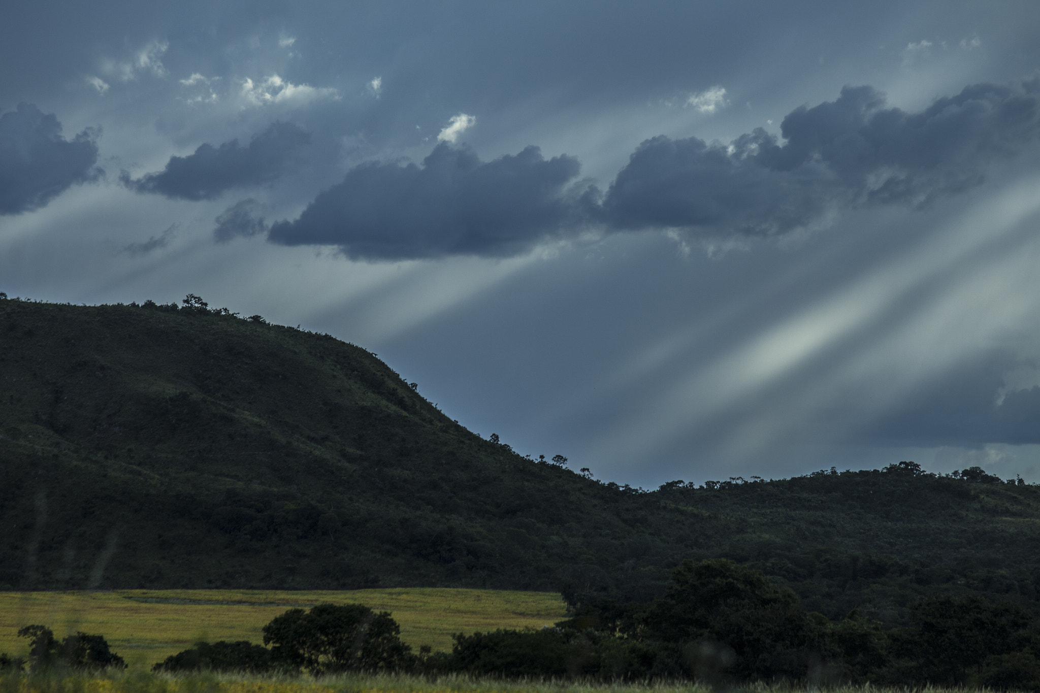 Canon EOS 6D + Canon EF 200mm f/2.8L sample photo. Mg photography