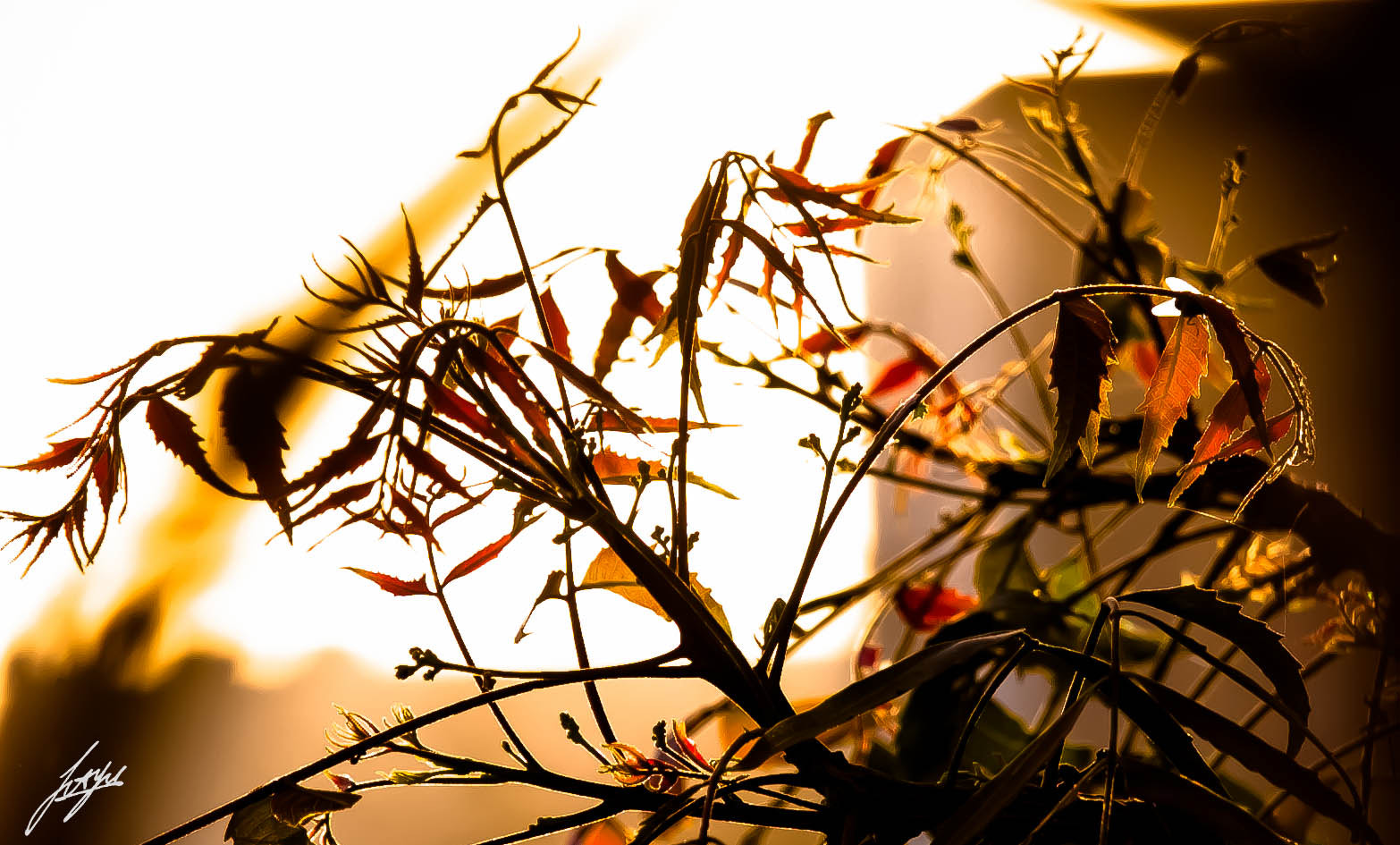 Nikon D70s sample photo. Sunny weather photography