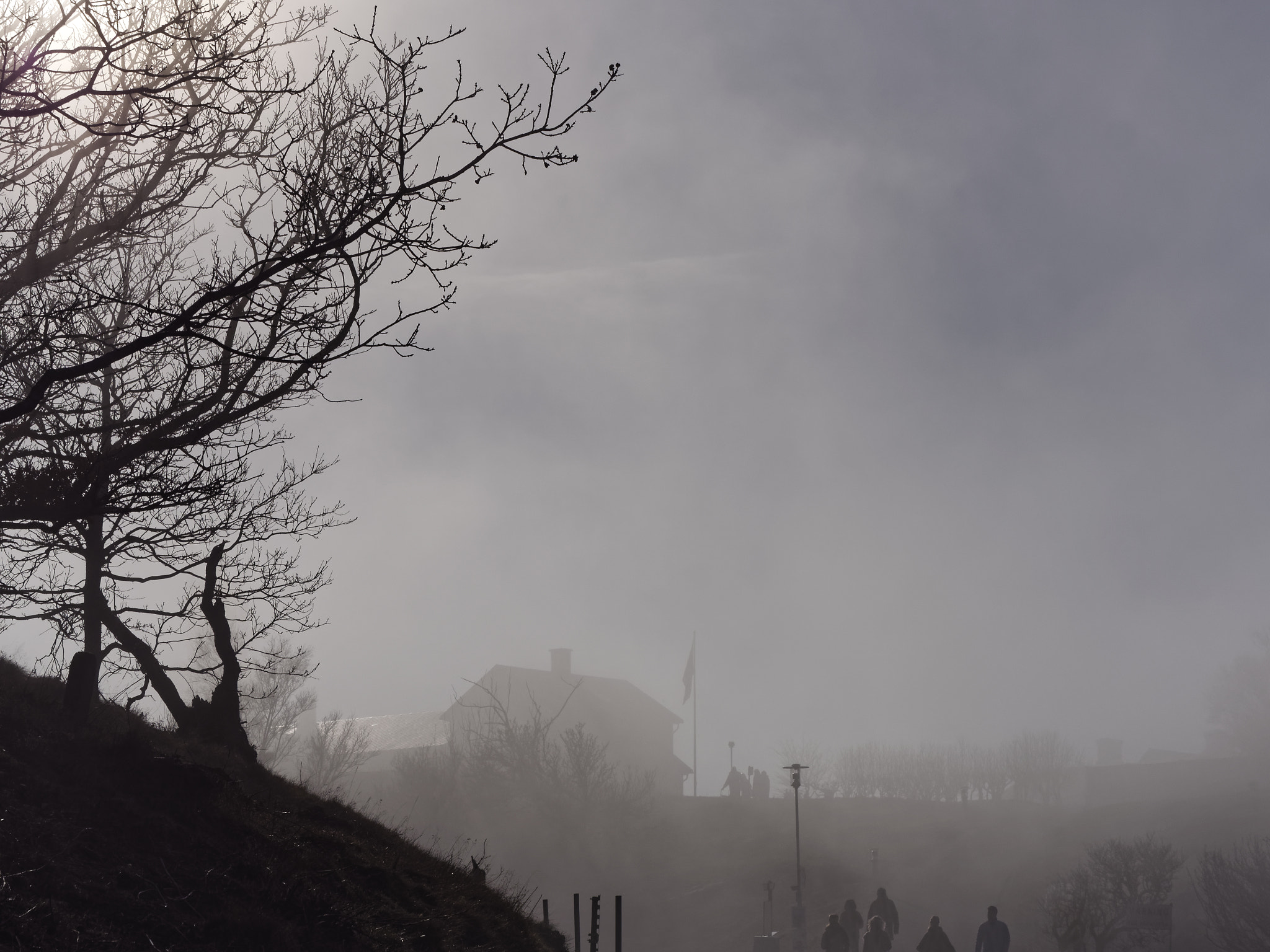 LUMIX G VARIO 45-150/F4.0-5.6 sample photo. The walking dead photography