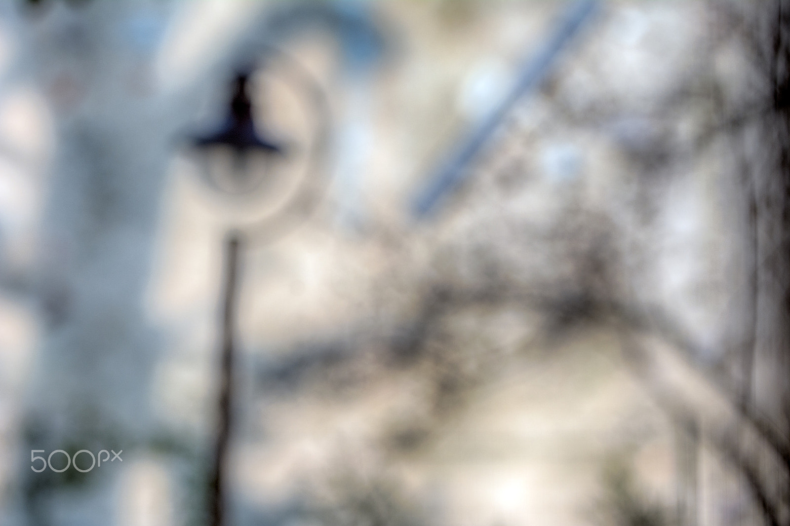 Sigma 105mm F2.8 EX DG OS HSM sample photo. Even in the shadows photography