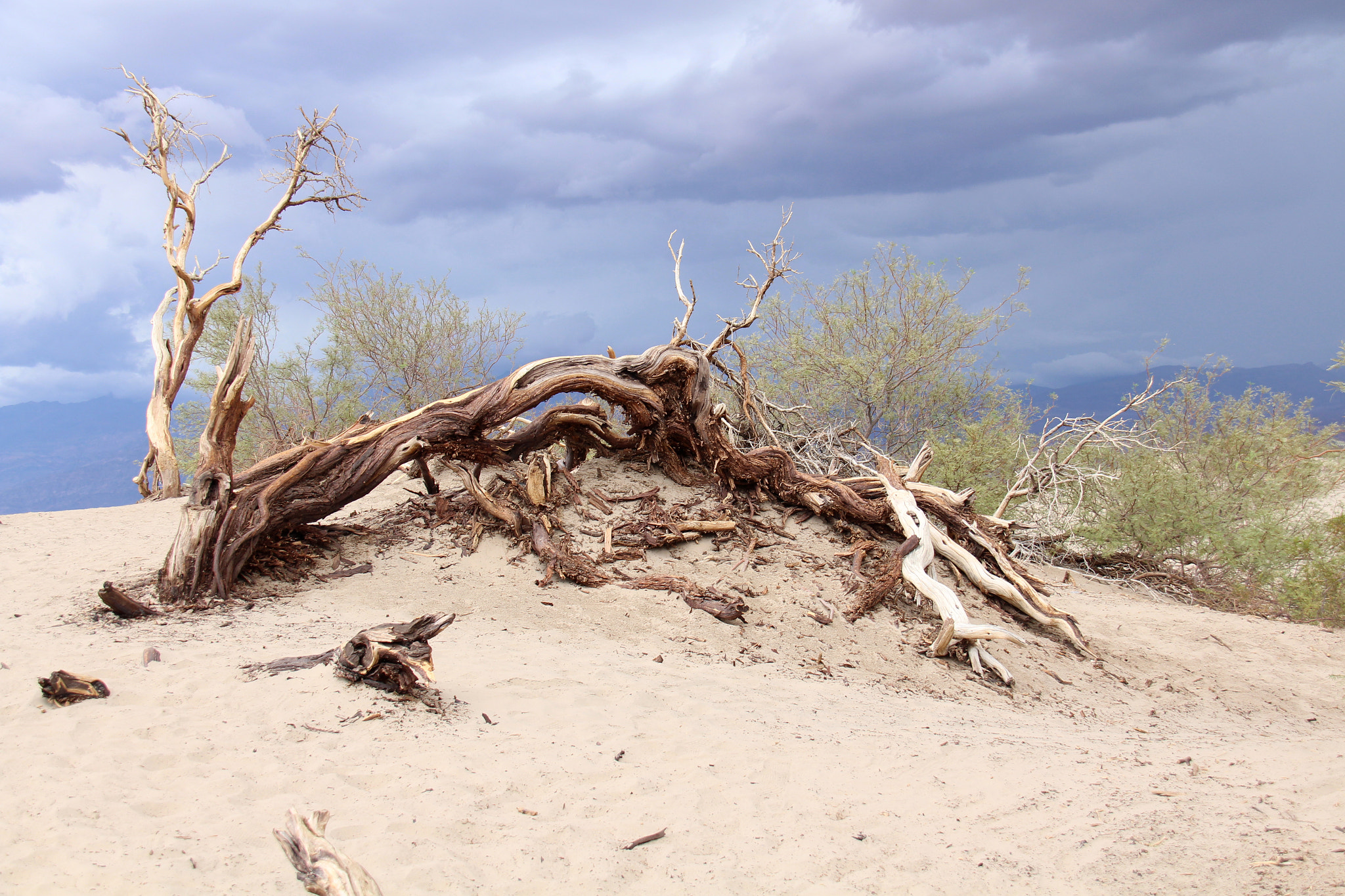 Canon EF-S 18-200mm F3.5-5.6 IS sample photo. Death valley photography