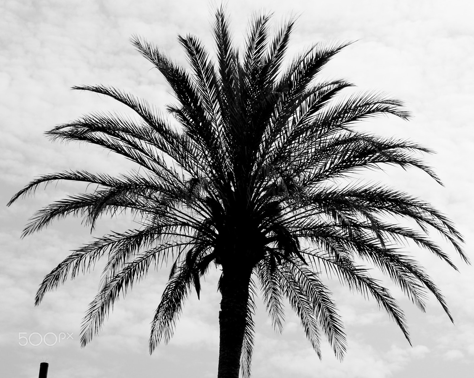 Sigma 18-200mm f/3.5-6.3 DC OS sample photo. Beauty in nature photography