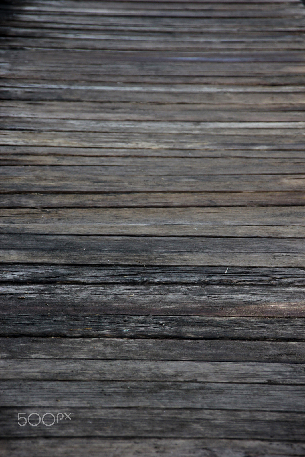 Sigma 18-200mm f/3.5-6.3 DC OS sample photo. Beauty in nature photography