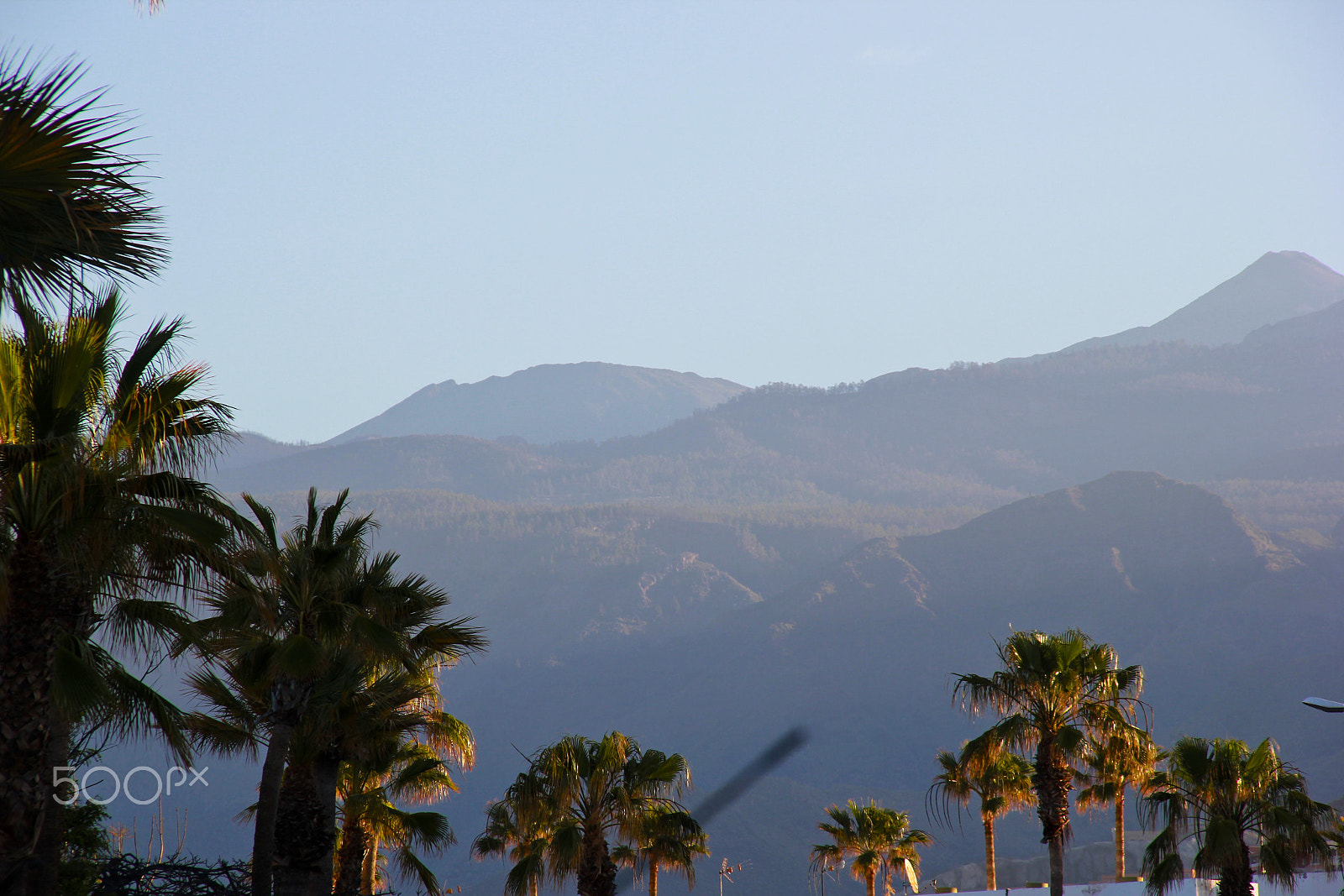 Sigma 18-200mm f/3.5-6.3 DC OS sample photo. Beauty in nature photography
