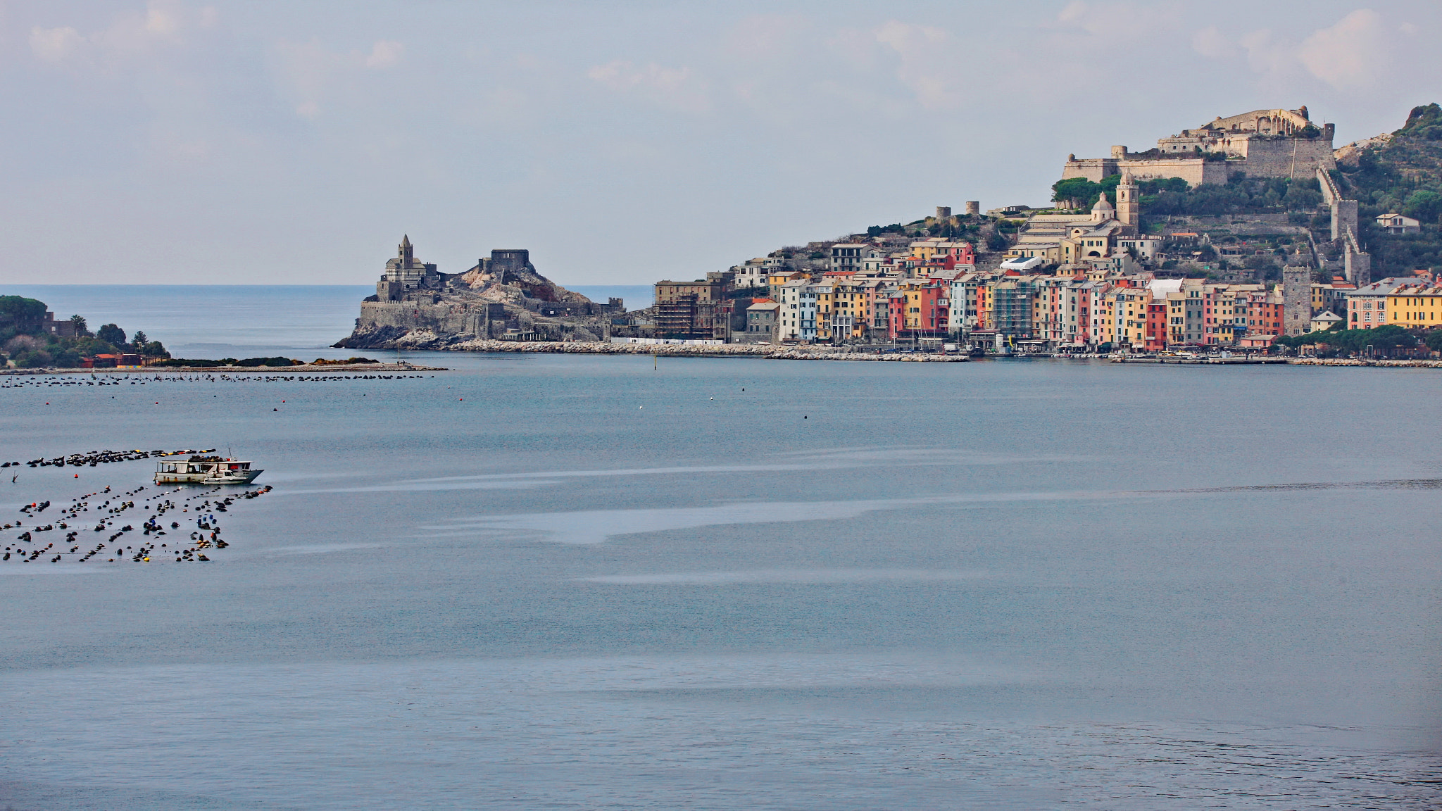 Sigma 150-600mm F5-6.3 DG OS HSM | C sample photo. Portovenere photography