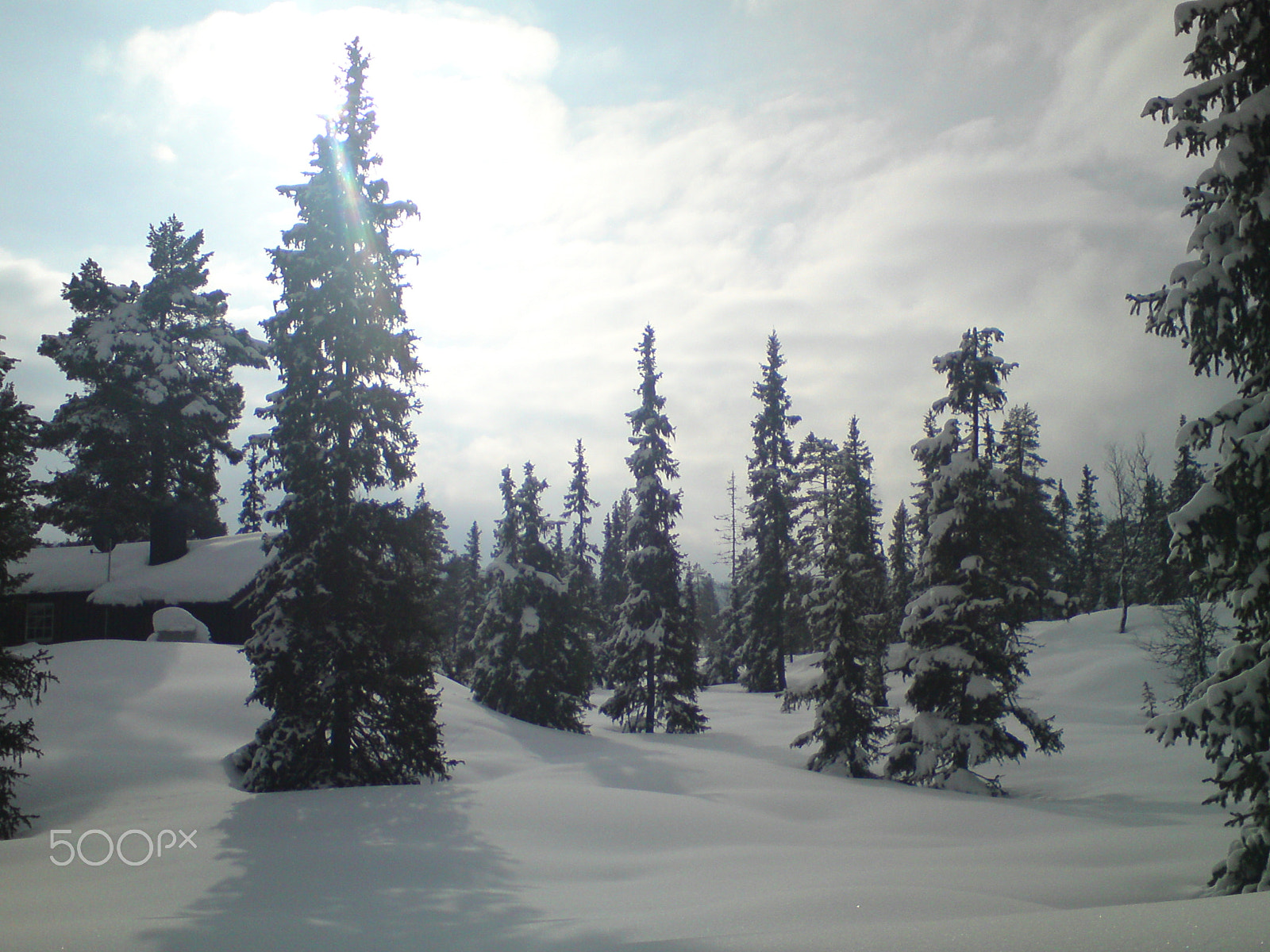 Sony Ericsson W995 sample photo. Beauty in nature photography