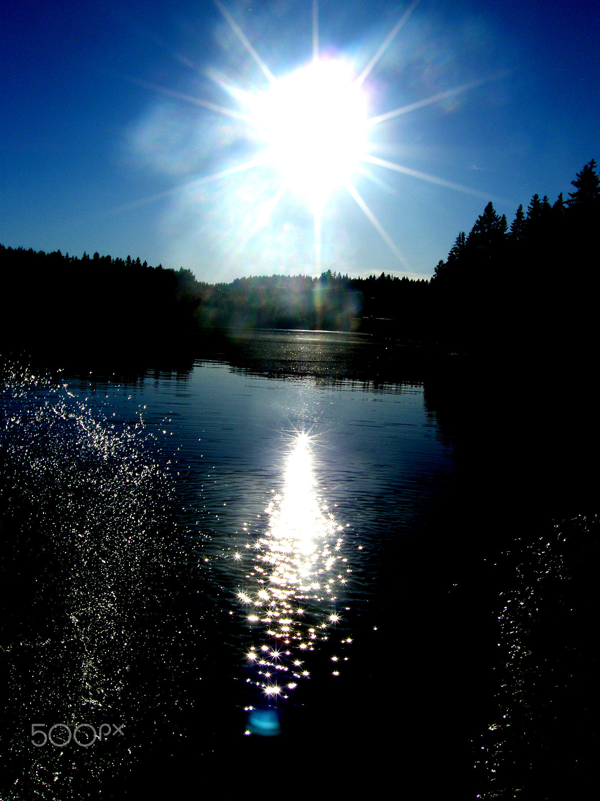 Fujifilm FinePix S8000fd sample photo. Beauty in nature photography
