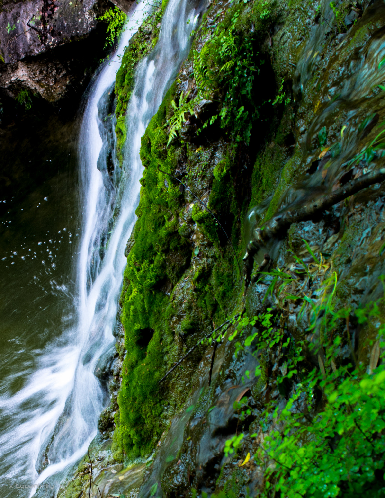 Canon EF-S 24mm F2.8 STM sample photo. Waterfall @ wild basin nature reserve photography