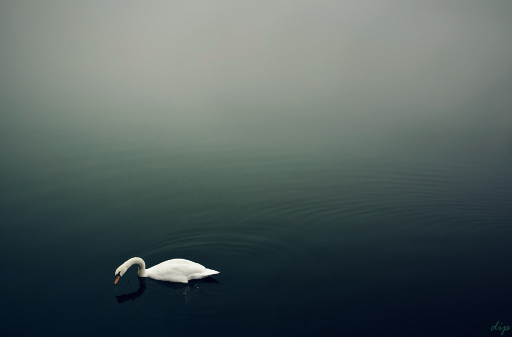 Minimalismus by dip-photos on 500px.com