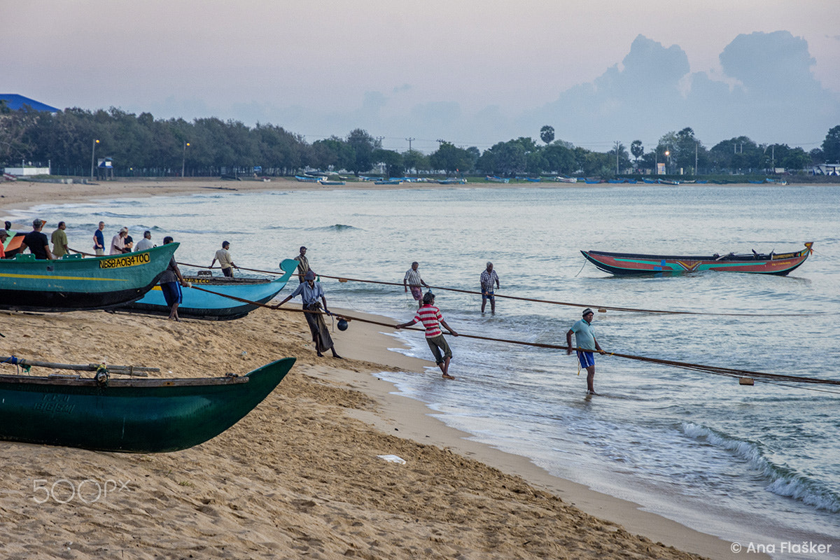 Nikon D7200 sample photo. Pulling the fishing net out photography