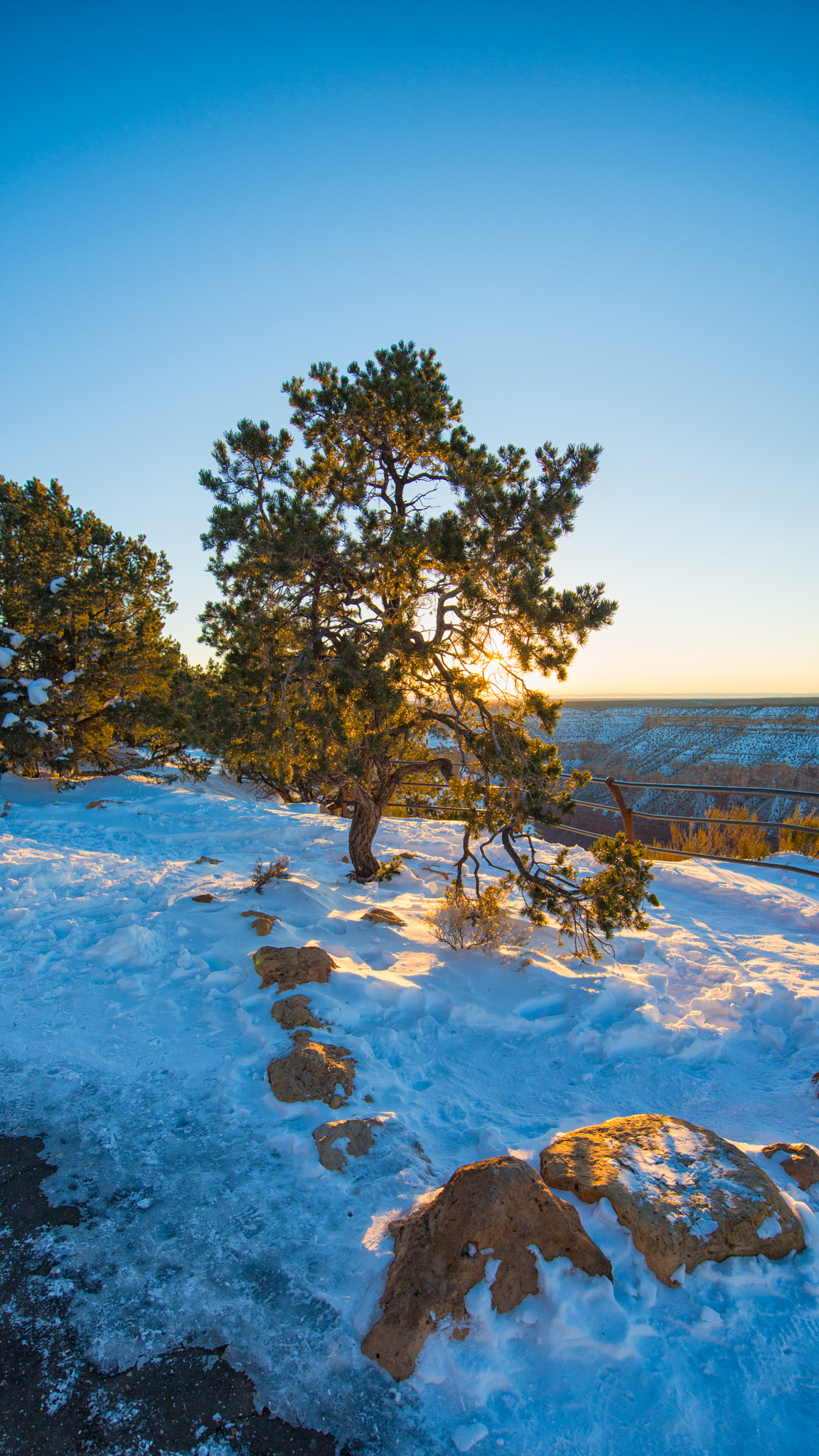 Nikon AF-S Nikkor 14-24mm F2.8G ED sample photo. Grand  canyon  national  park photography
