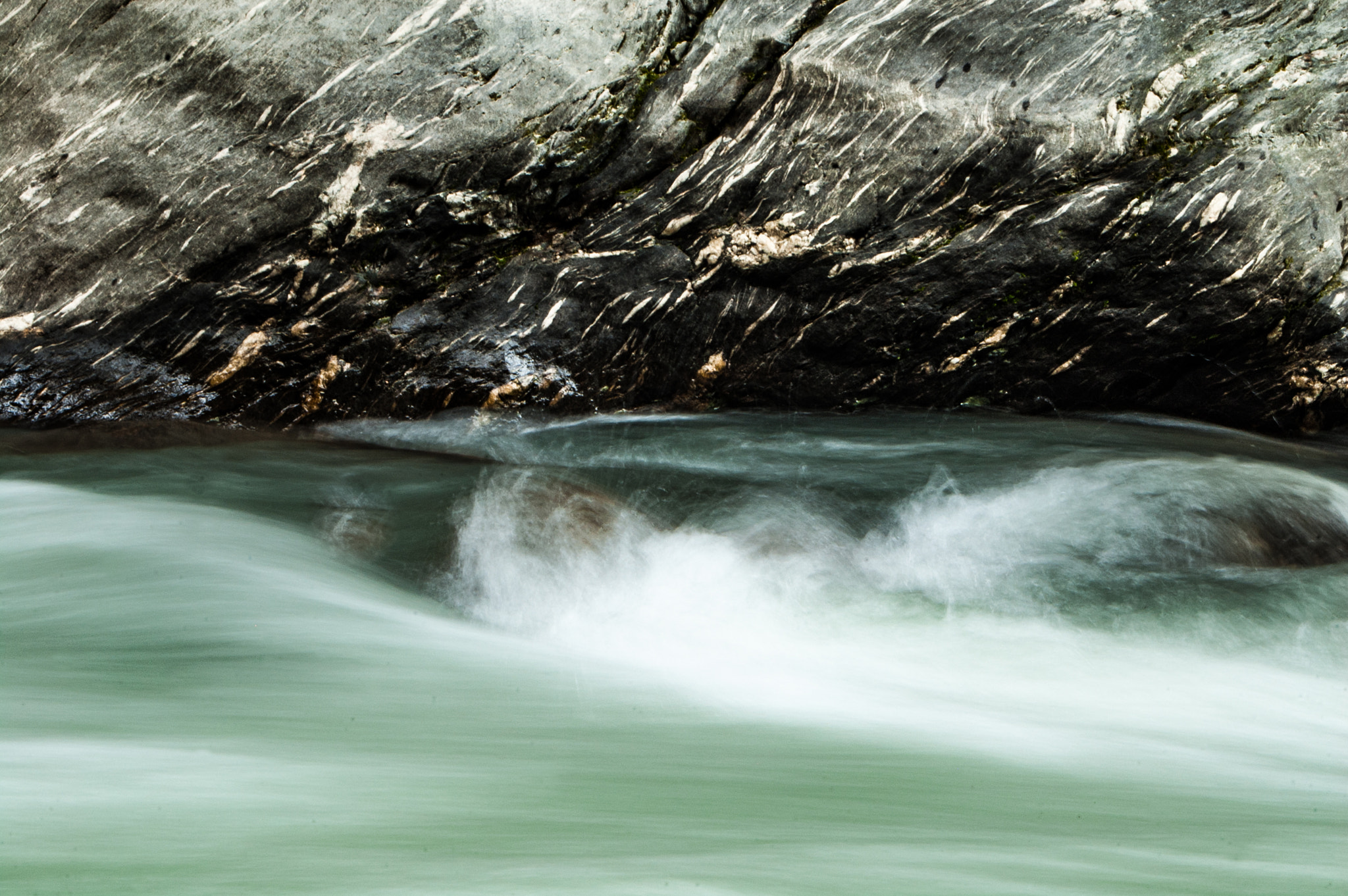 Nikon D40 sample photo. Veins ii photography
