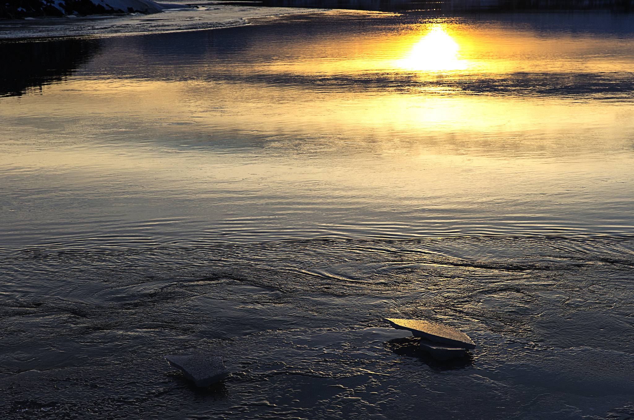 Canon EOS-1D X sample photo. Shine on me... photography