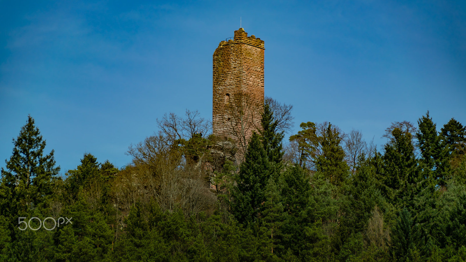 Sigma 18-250mm F3.5-6.3 DC Macro OS HSM sample photo. Hanauerland photography