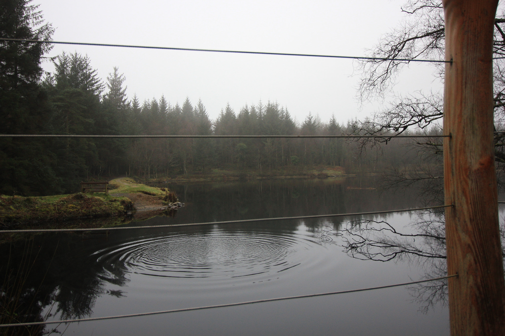 Canon EOS 550D (EOS Rebel T2i / EOS Kiss X4) sample photo. Ripple photography