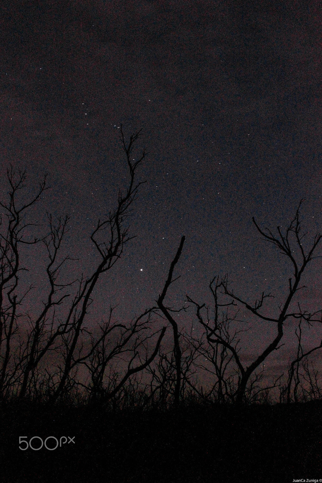 Canon EOS 100D (EOS Rebel SL1 / EOS Kiss X7) sample photo. Noche en el manglar photography