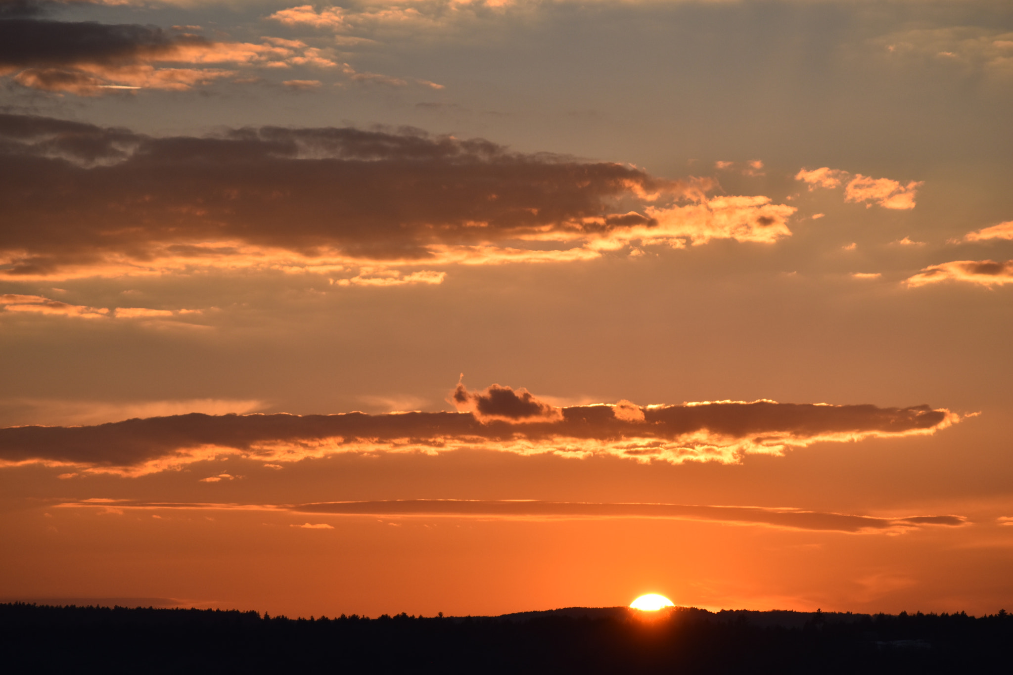 Nikon D5500 sample photo. Last minute of the day photography