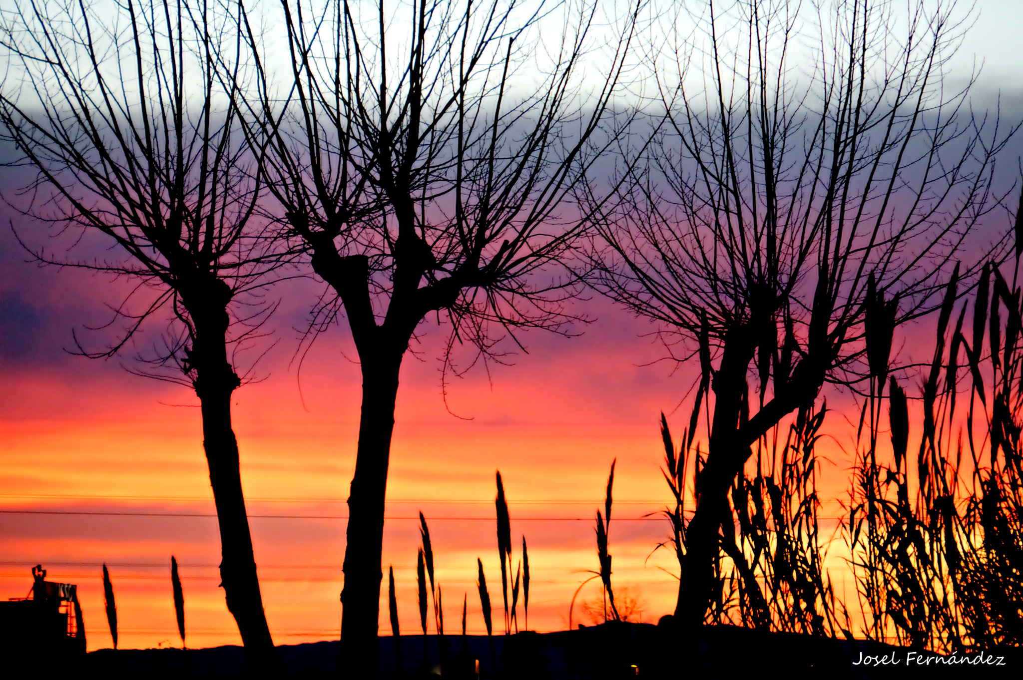 Canon EOS 450D (EOS Rebel XSi / EOS Kiss X2) sample photo. Atardecer en mislata photography