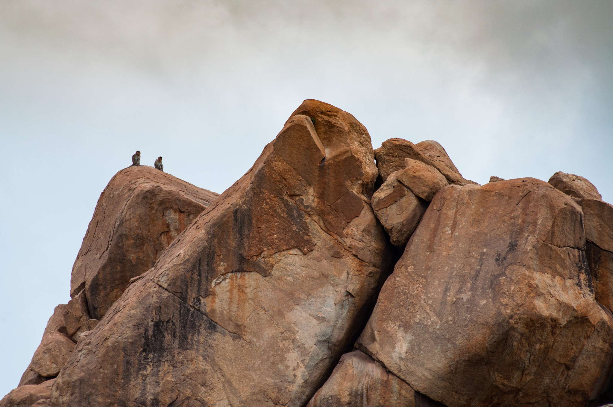 AF Nikkor 70-210mm f/4-5.6D sample photo. Monkeys on huge rocks, hampi. photography
