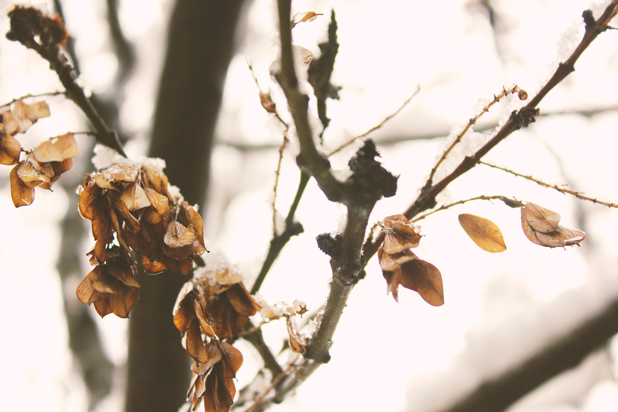 Canon EOS 550D (EOS Rebel T2i / EOS Kiss X4) sample photo. Another day in paradise. photography