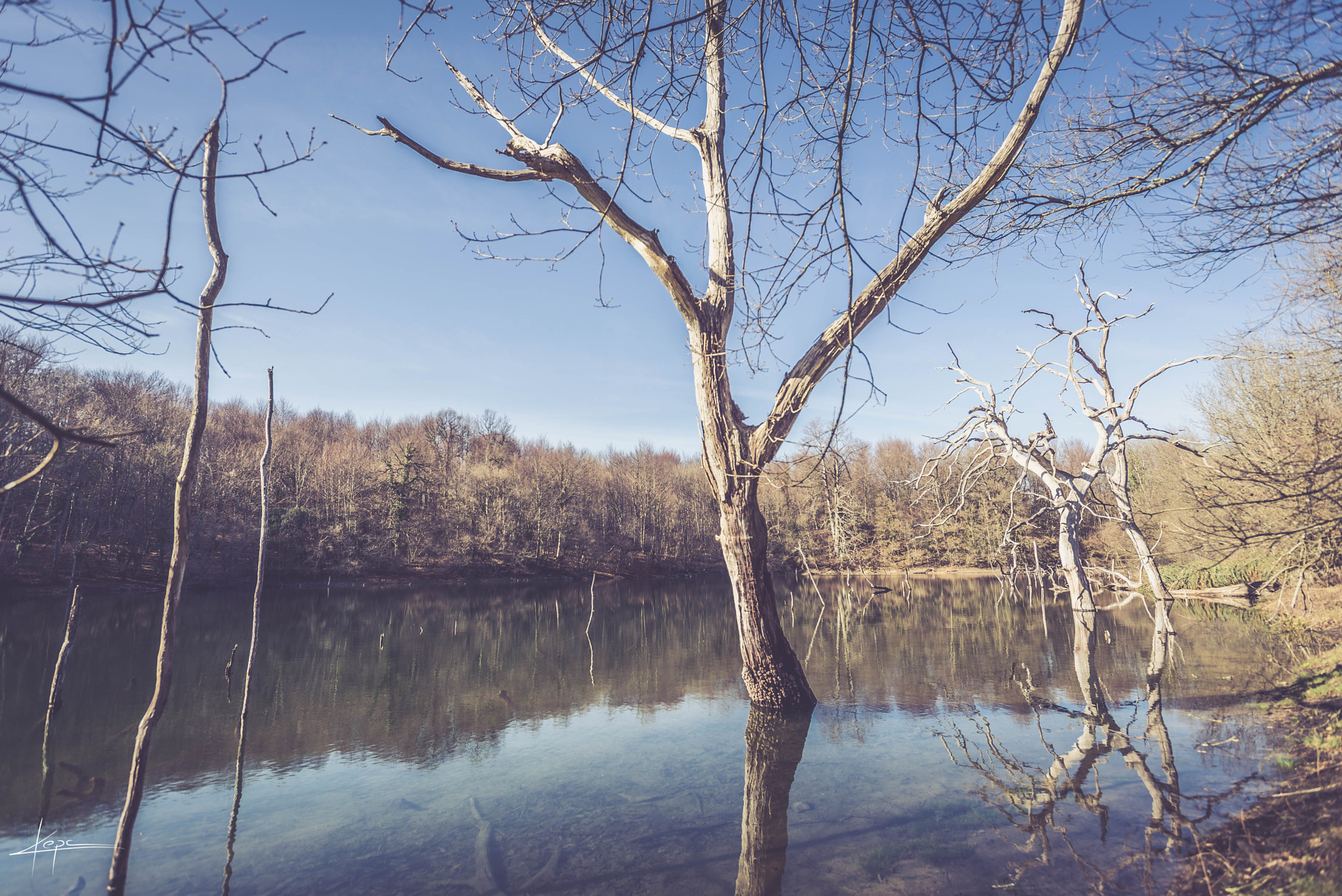 Nikon AF-S Nikkor 17-35mm F2.8D ED-IF sample photo. Color reflections photography