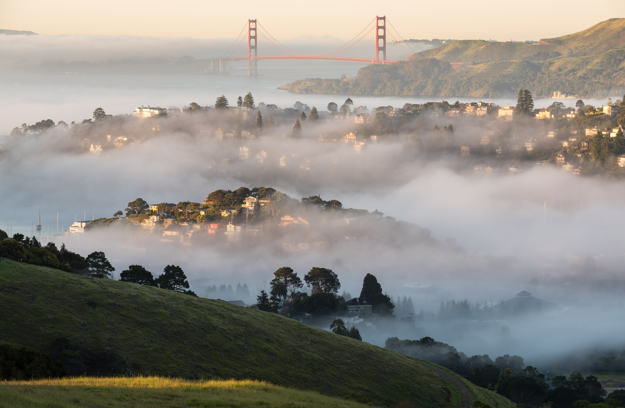 Nikon D810 sample photo. Morning fog, san francisco photography
