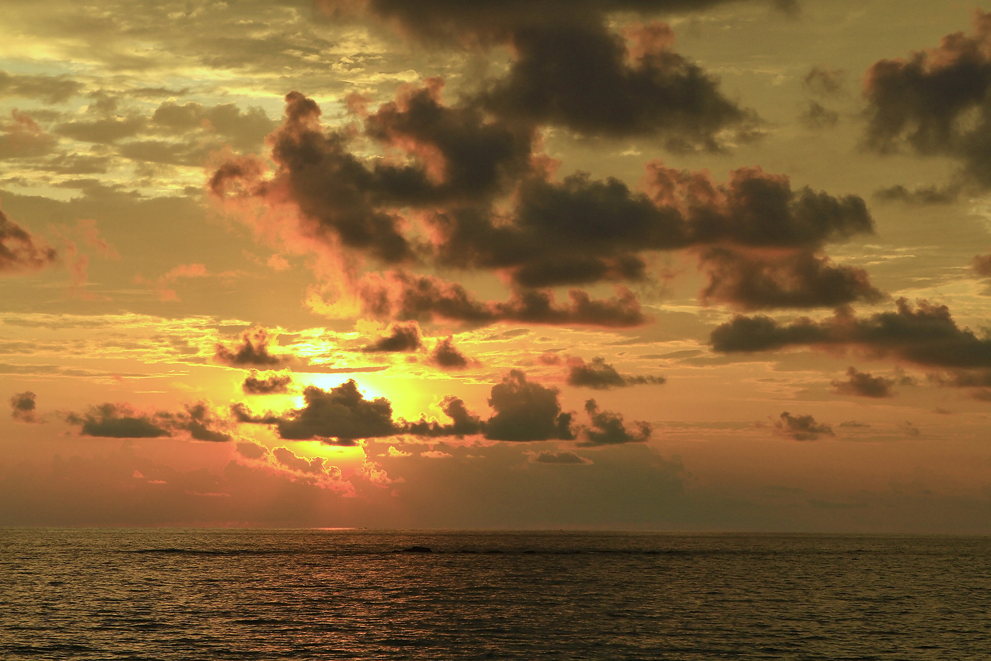 Canon EOS 7D + Canon EF 24-70mm F2.8L USM sample photo. Sun photography