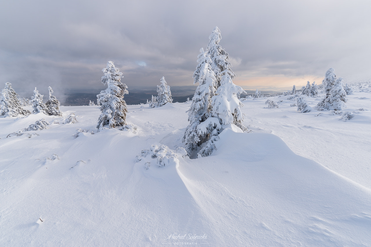 Pentax K-1 + HD PENTAX-D FA 15-30mm F2.8 ED SDM WR sample photo. Karkonoska zima... photography