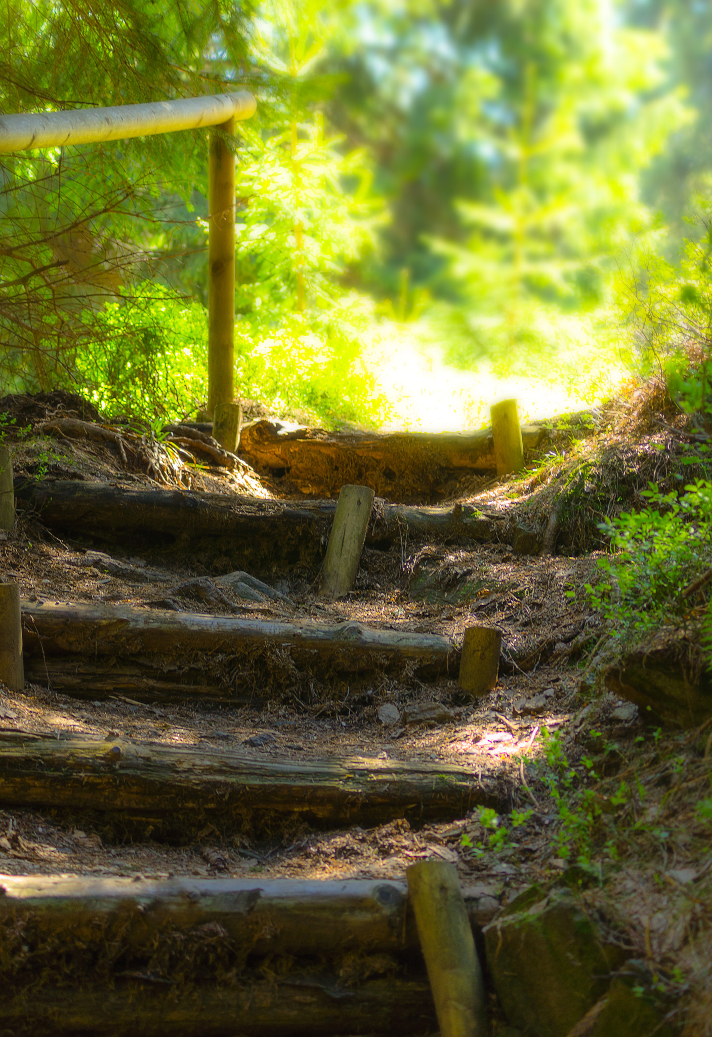 Tamron AF 55-200mm F4-5.6 Di II LD Macro sample photo. Stairway to heaven photography