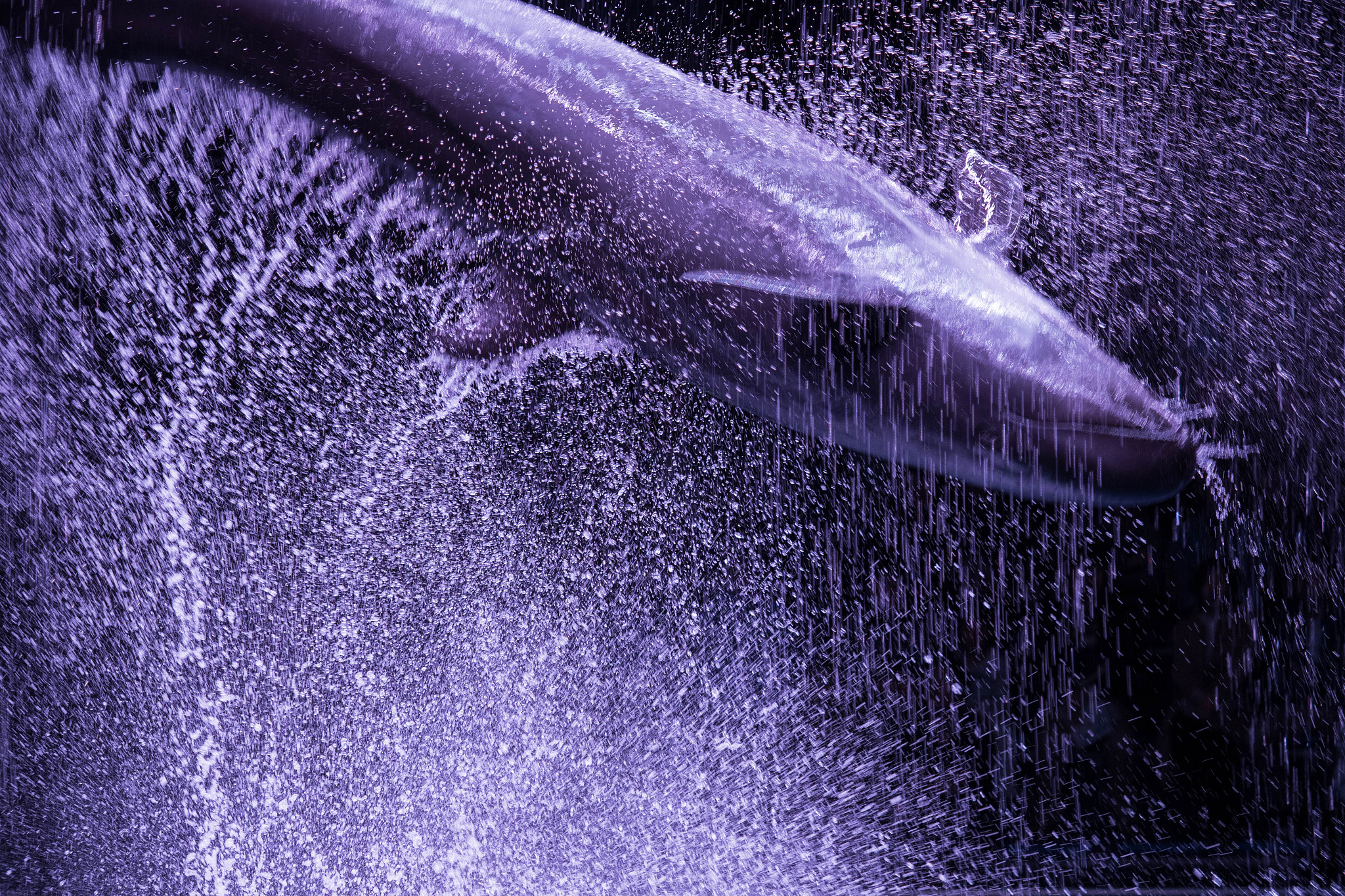 Olympus OM-D E-M1 Mark II + Olympus M.Zuiko Digital ED 40-150mm F2.8 Pro sample photo. The splashing photography