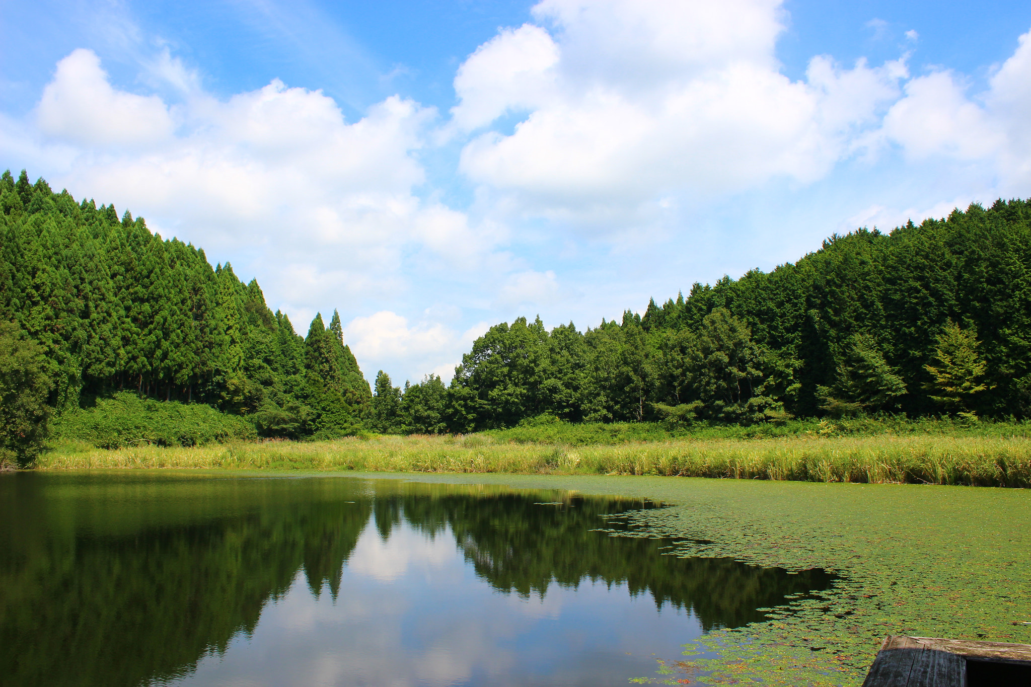 Canon EOS 100D (EOS Rebel SL1 / EOS Kiss X7) sample photo. Lake photography