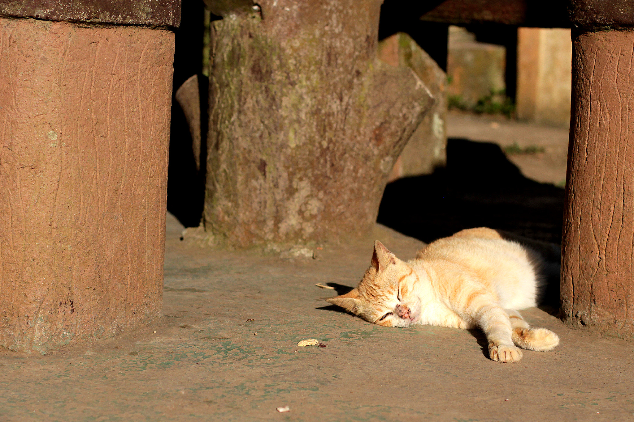 Canon EOS 550D (EOS Rebel T2i / EOS Kiss X4) sample photo. Lazy photography