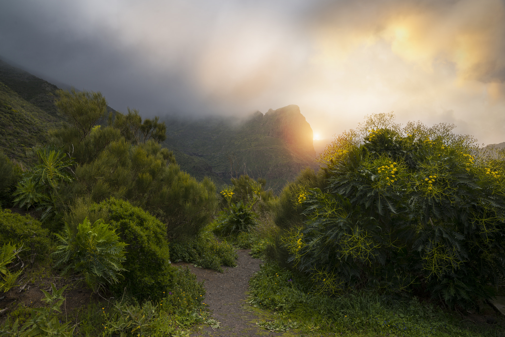 Sigma 24-70mm F2.8 EX DG HSM sample photo. Path of gods photography