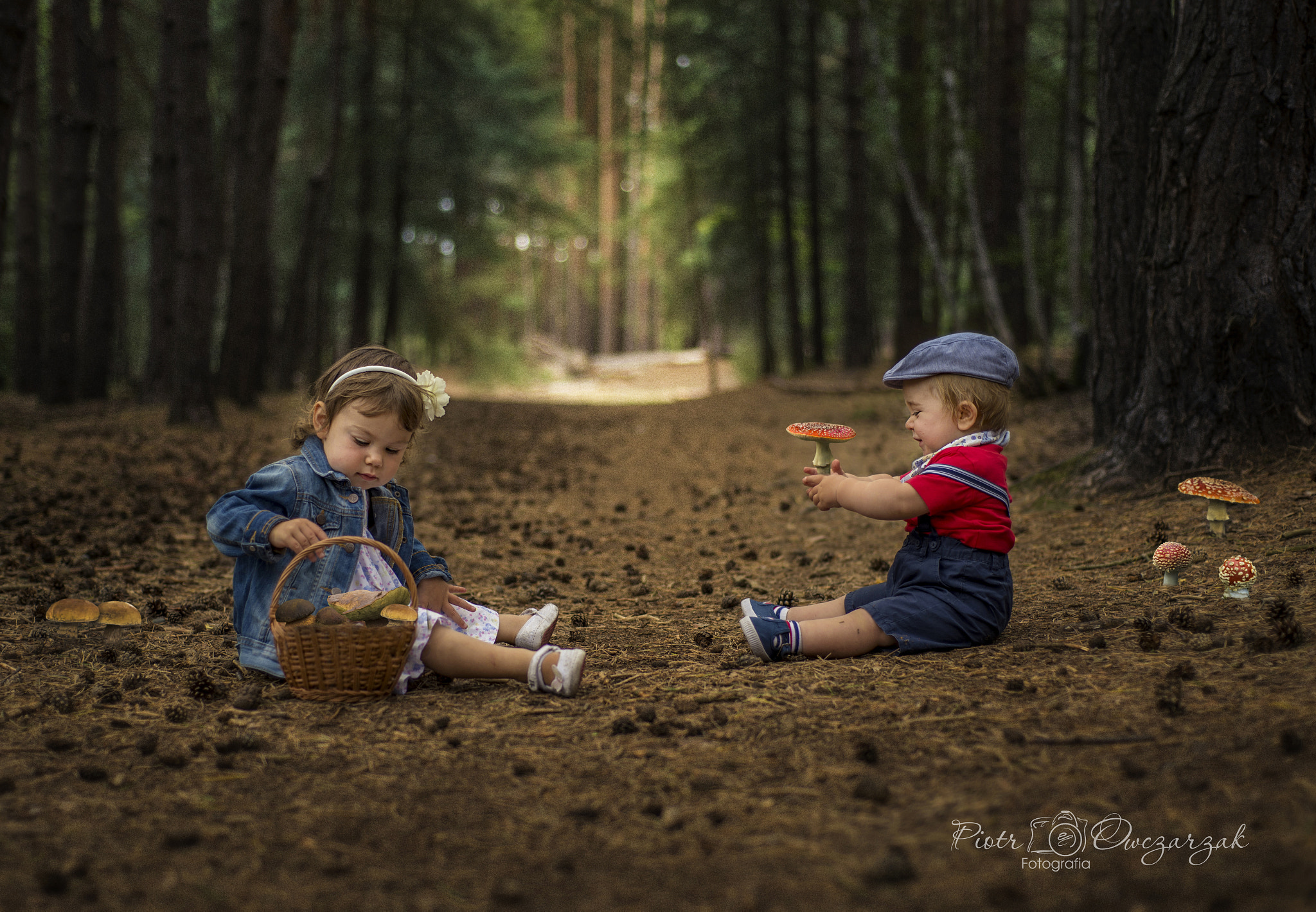 Nikon AF Nikkor 50mm F1.8D sample photo. A mushroom collectors... photography